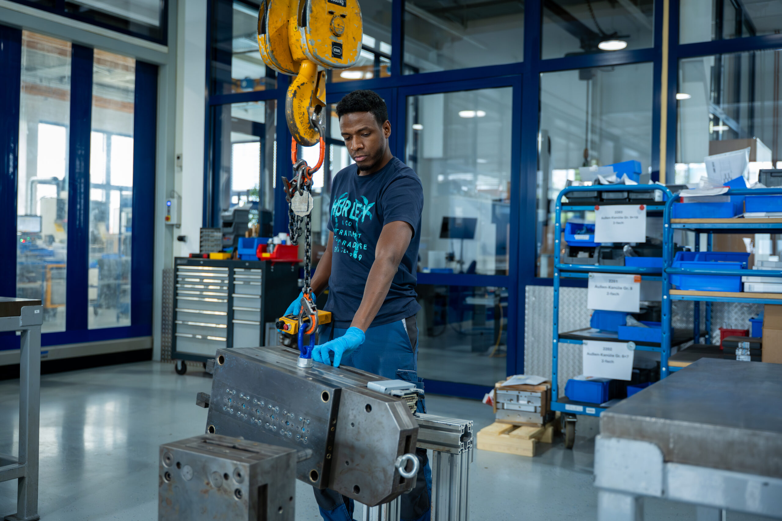 SteadyFilm SpangBrands 60 scaled -